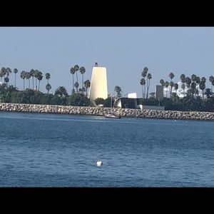 Meet your Posher, Ana